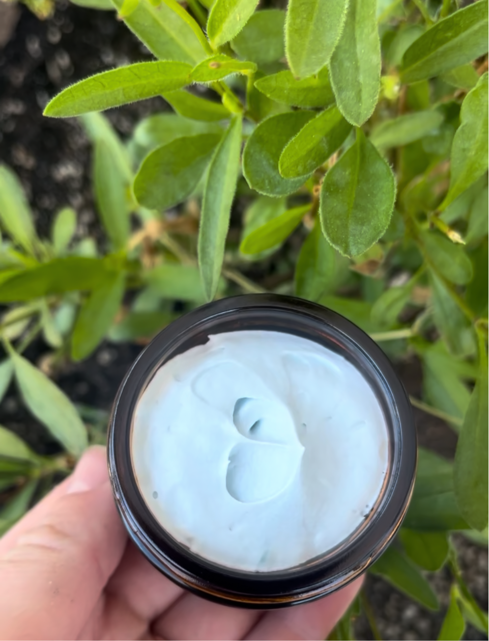Whipped Blue Tansy Tallow